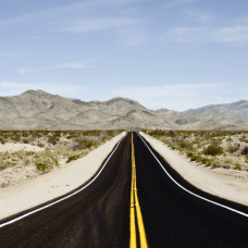 Condimentum Ridiculus