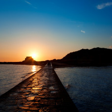 Inceptos Tristique Sem