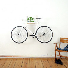 Fringilla Fermentum Elit