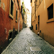 Adipiscing Ultricies